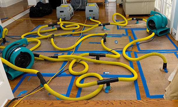 Professional Water Damage Repair technician working in Woodstock, MN